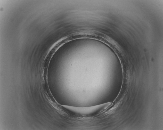 X0000080680830200612301422