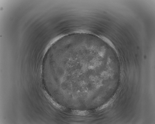 X0000080680831200612301422