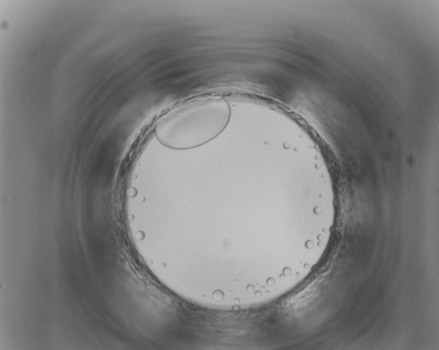 X0000080680832200612301422