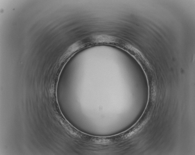 X0000080680833200612301422