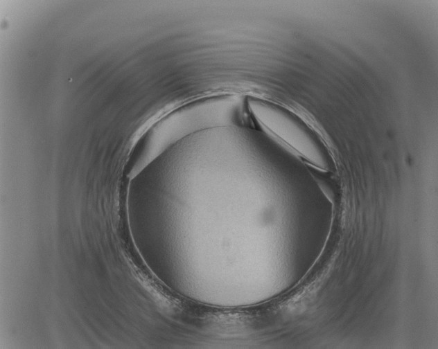 X0000080680834200612301422