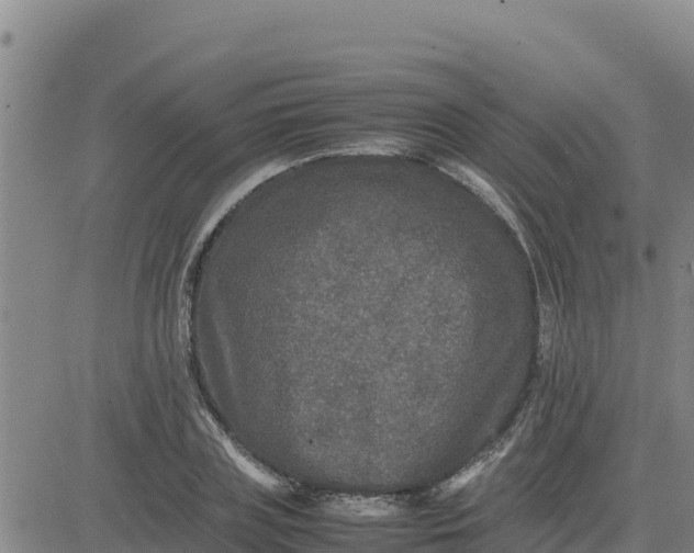 X0000080680835200612301423