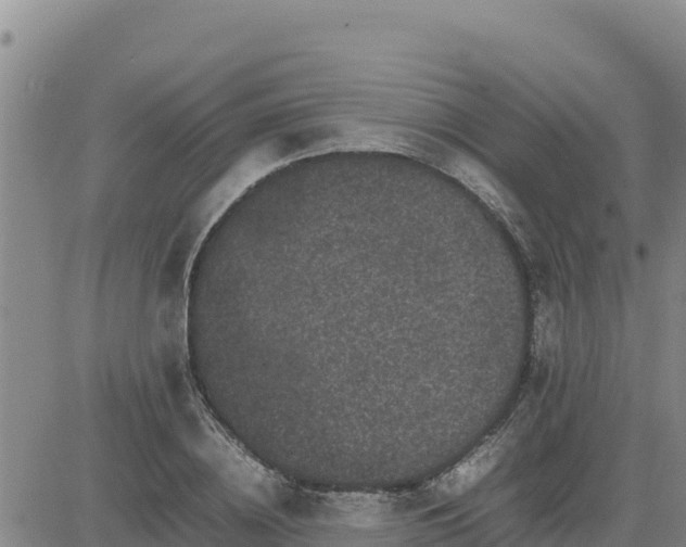 X0000080680836200612301423