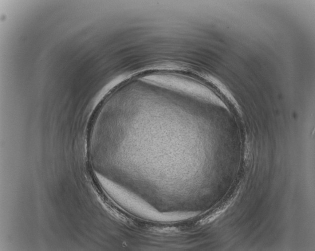 X0000080680837200612301423