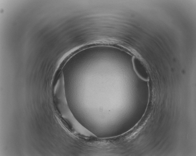 X0000080680838200612301423