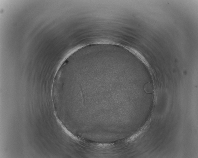 X0000080680839200612301423