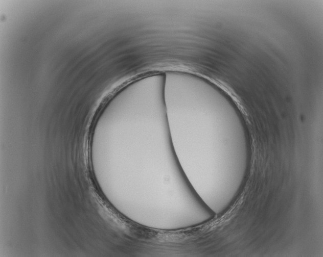 X0000080680840200612301423