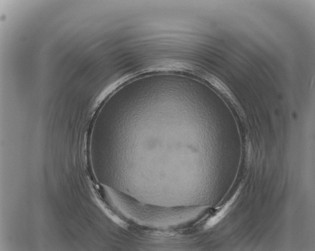 X0000080680842200612301423