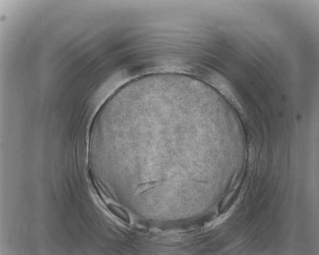 X0000080680844200612301423