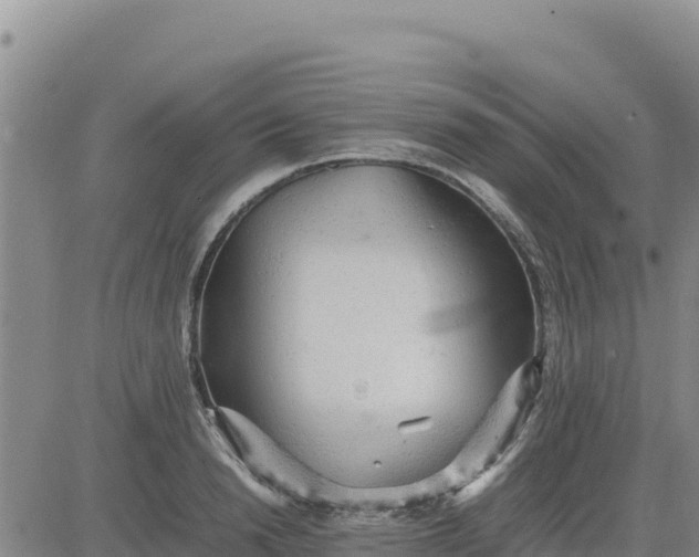 X0000080680846200612301423