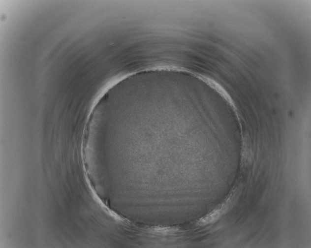 X0000080680847200612301423