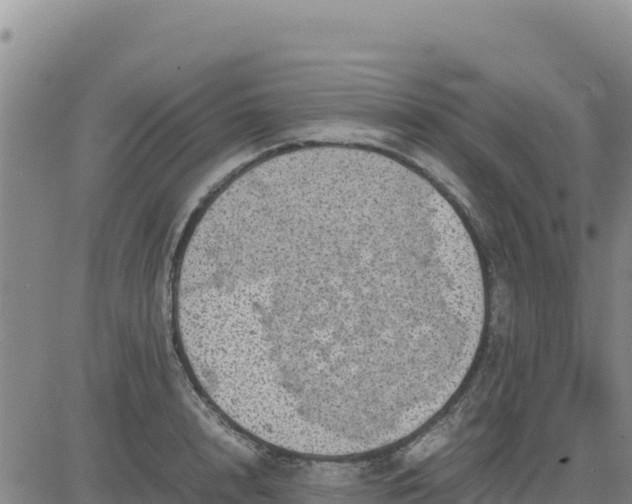 X0000080680848200612301423