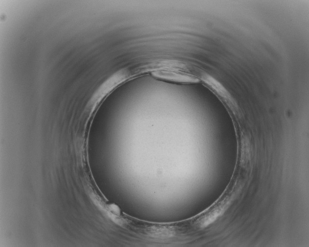 X0000080680850200612301423