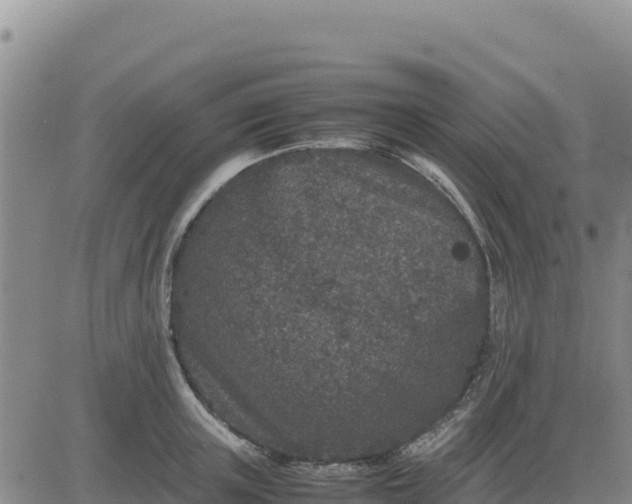 X0000080680851200612301423