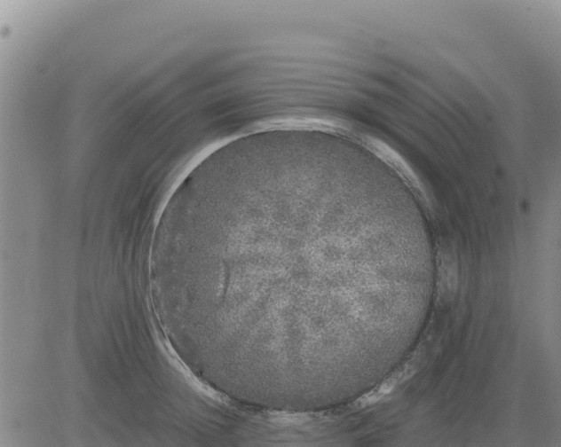 X0000080680852200612301423