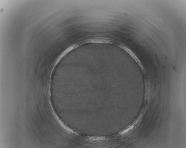 X0000080680853200612301423