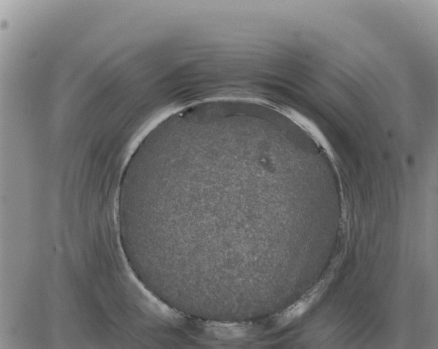 X0000080680855200612301423