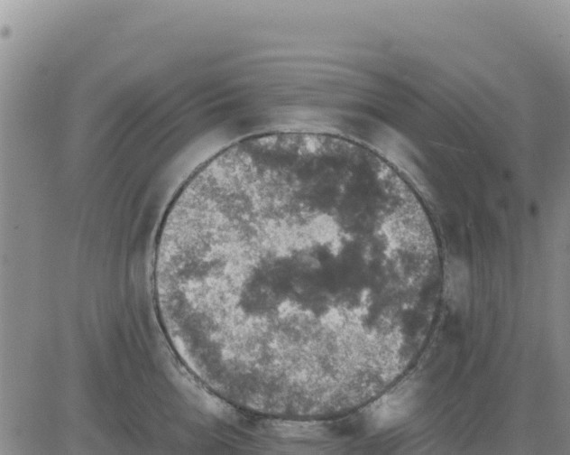 X0000080680856200612301423