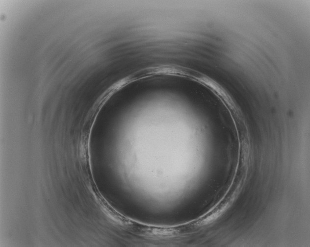 X0000080680857200612301423