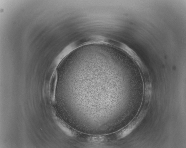 X0000080680858200612301423