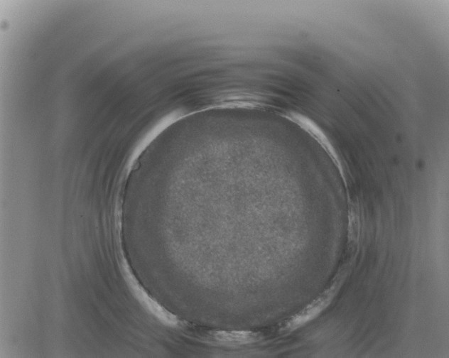 X0000080680859200612301423