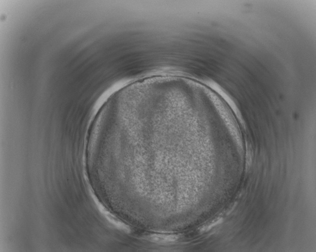 X0000080680861200612301423