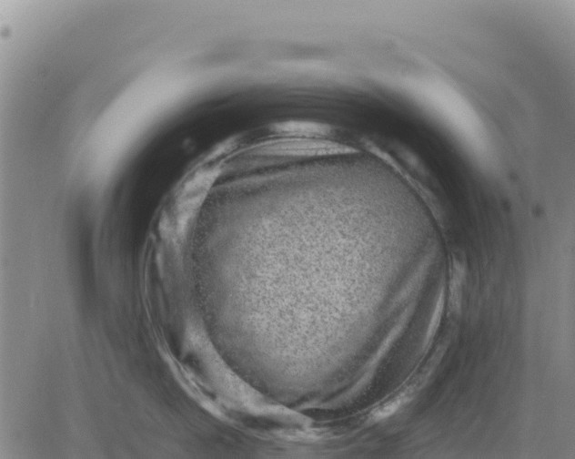 X0000080680862200612301423