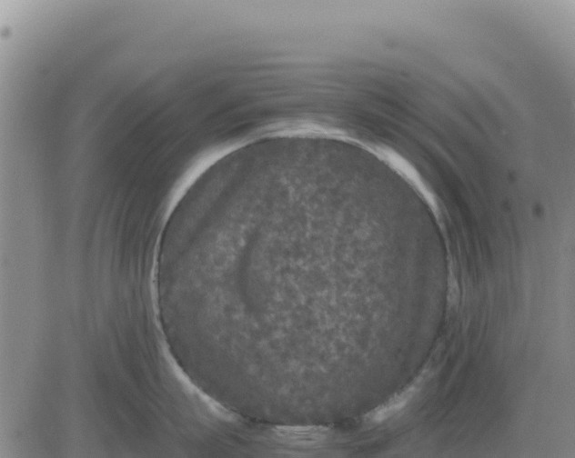 X0000080680863200612301423