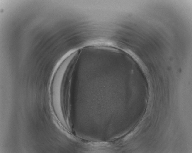 X0000080680864200612301423