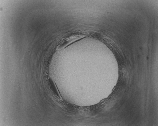 X0000080680865200612301422