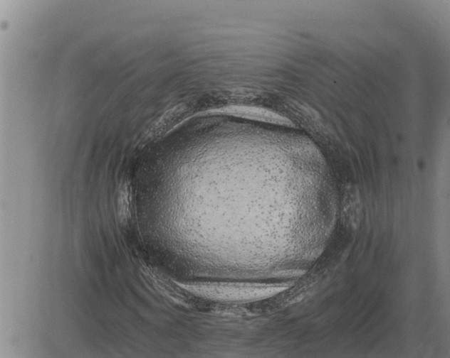 X0000080680866200612301422