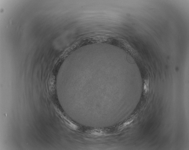 X0000080680867200612301422