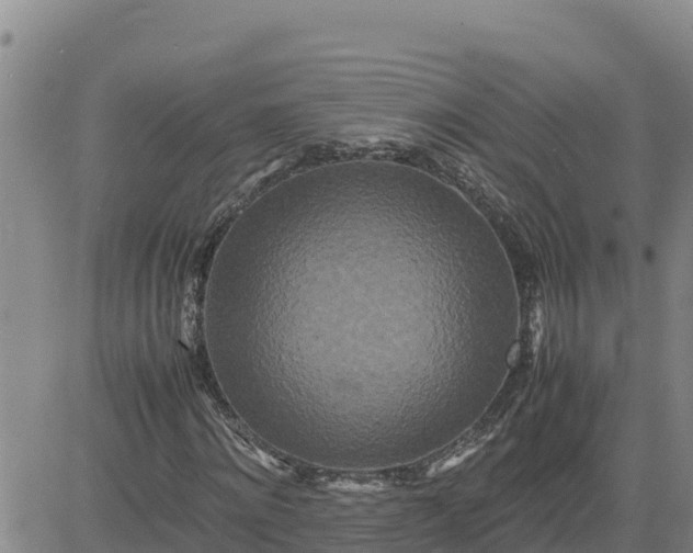 X0000080680868200612301422