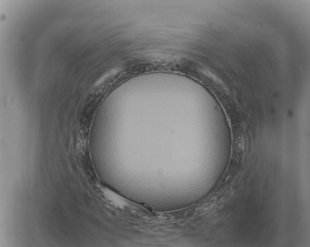 X0000080680869200612301422