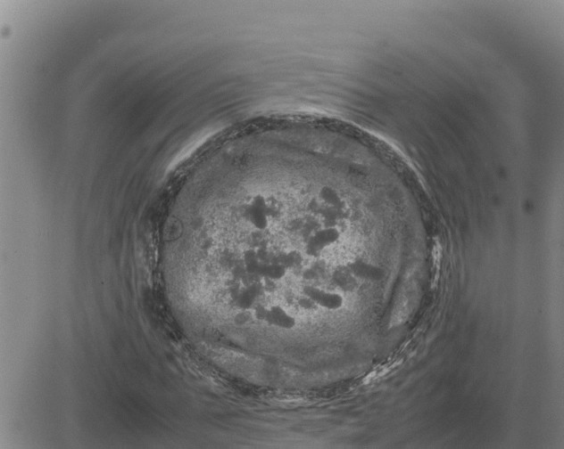 X0000080680871200612301422