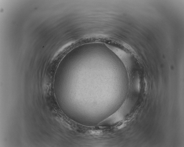 X0000080680872200612301422