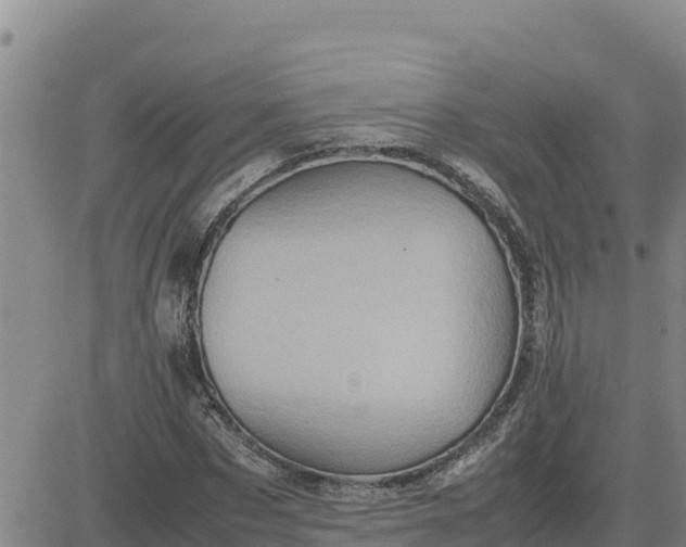 X0000080680873200612301422