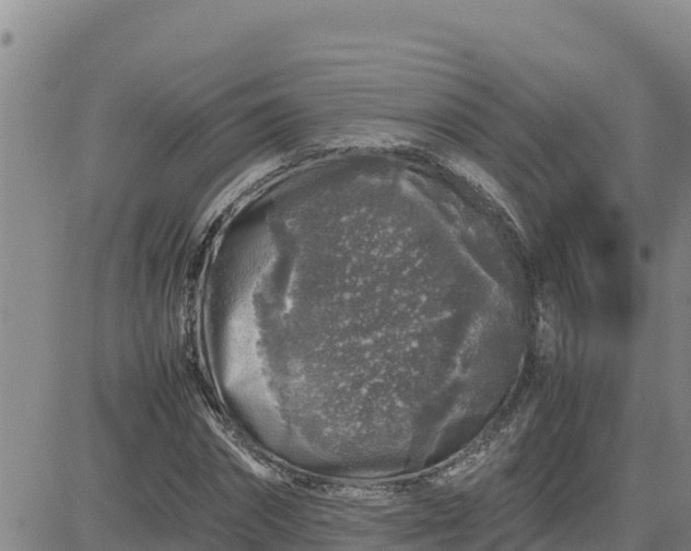 X0000080680874200612301422