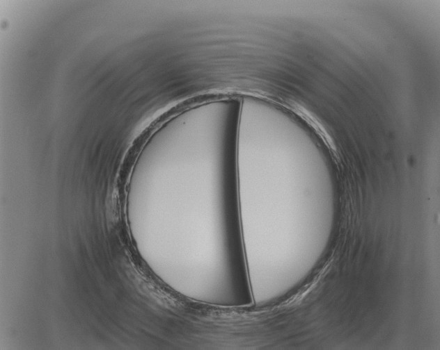 X0000080680876200612301422