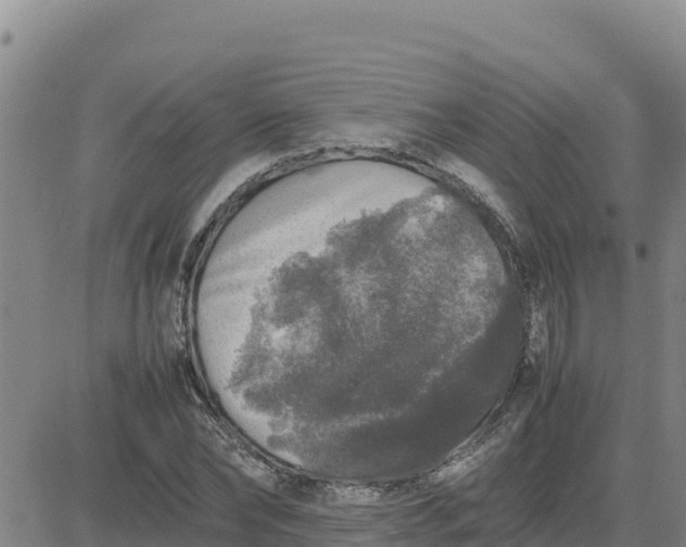 X0000080680878200612301422