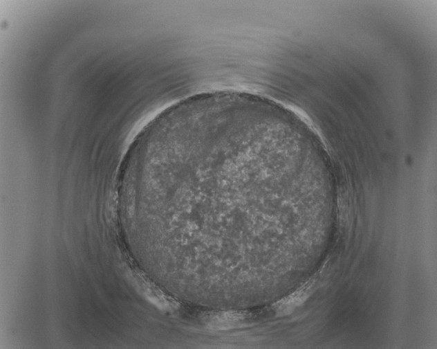 X0000080680879200612301422