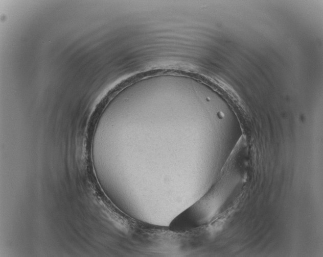 X0000080680880200612301422