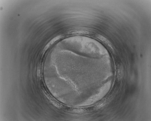 X0000080680882200612301422