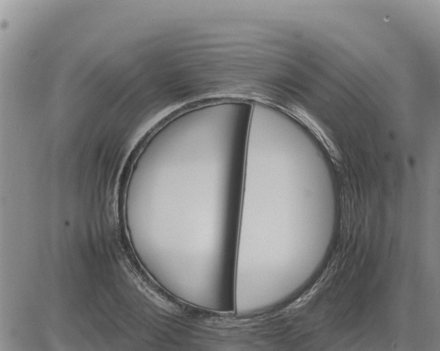 X0000080680884200612301422