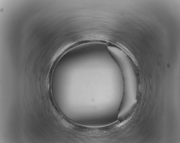 X0000080680885200612301422