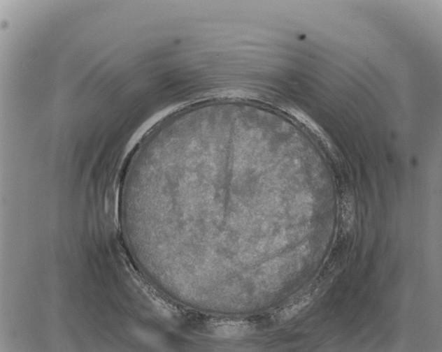 X0000080680886200612301422