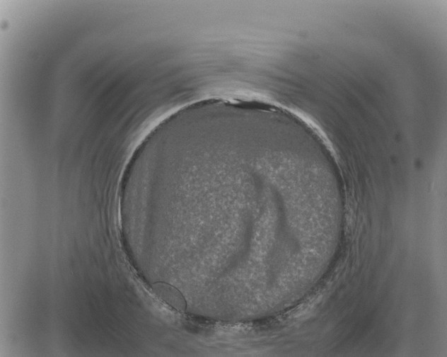 X0000080680887200612301422