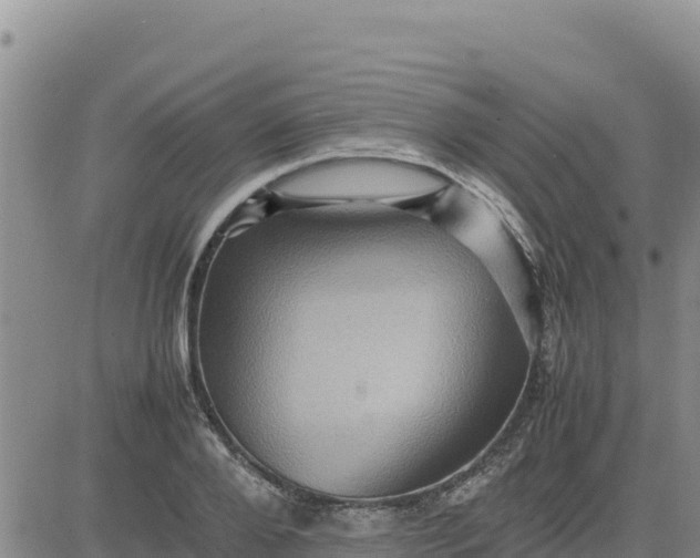 X0000080680888200612301422