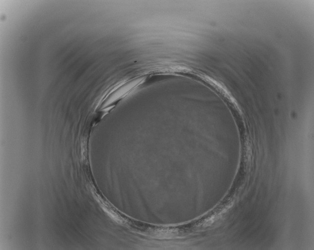 X0000080680889200612301422