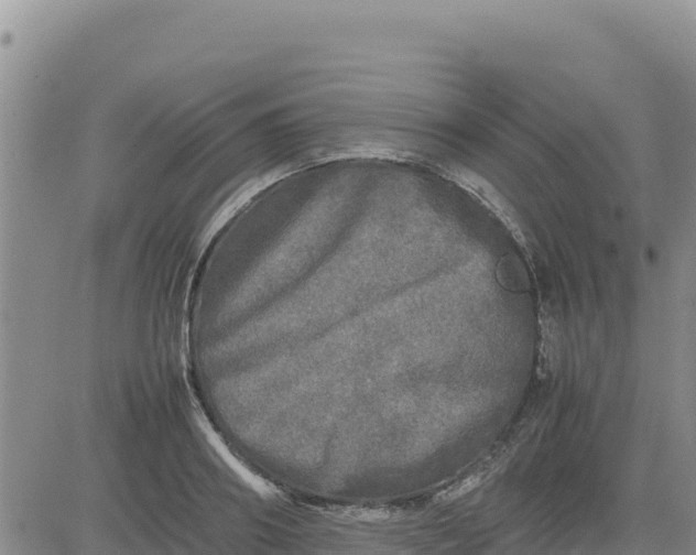 X0000080680890200612301422